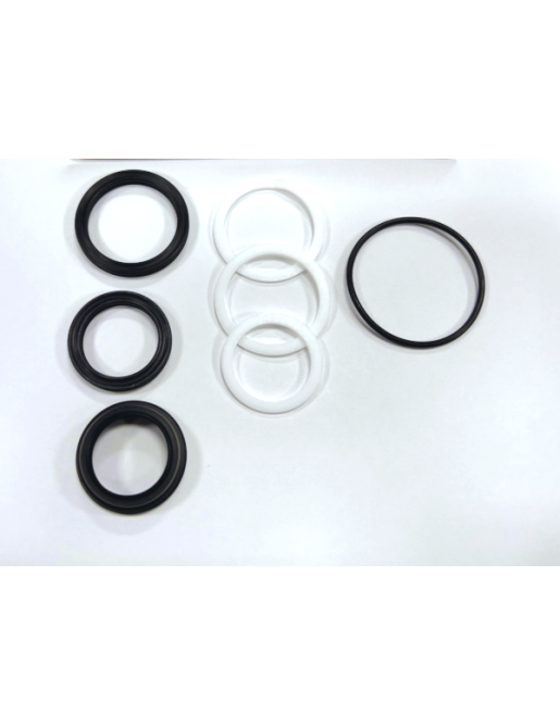 Racing Bro's SBC Micro Brain kit